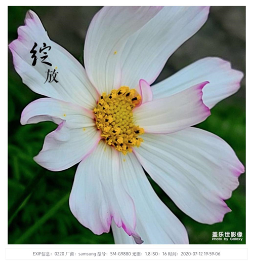 1603421898797035618.jpg 图片28.jpg
