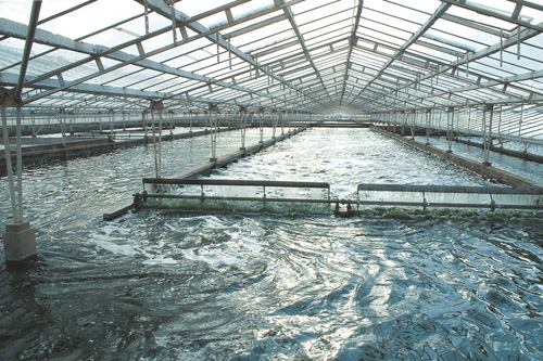 image003.jpg