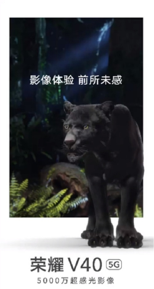 图片9.jpg