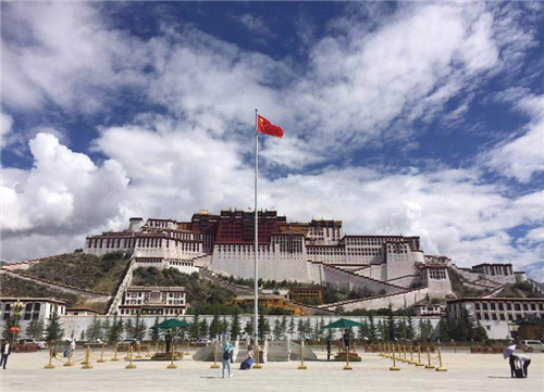 1614065952830012219.jpg 图片5.jpg
