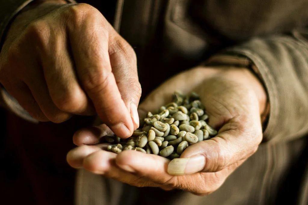 1619845939902038425.jpg