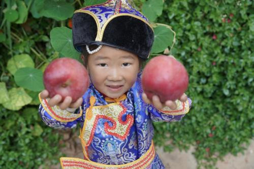 图片2.jpg