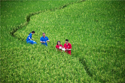 图片1.jpg