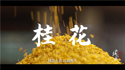 桂花.jpg