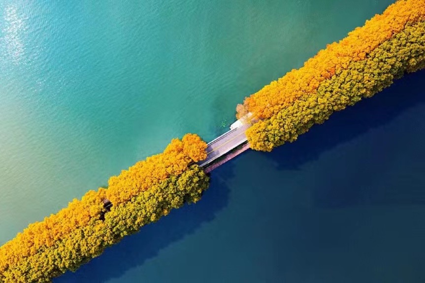 1669617143122044998.jpg 1669617143122044998.jpg