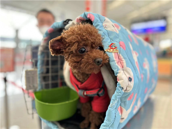 1676519016227027923.jpg 5.jpg