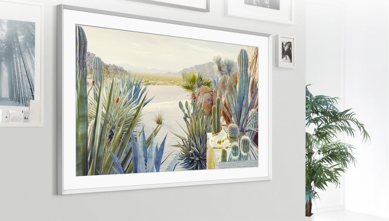 1678151546117018060.jpg 1678151546117018060.jpg