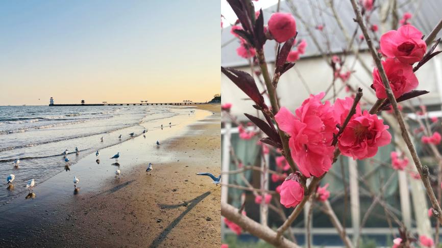 1680761336696096164.jpg 1680761336696096164.jpg