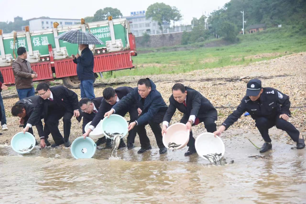 1682559228182084239.jpg 1682559228182084239.jpg