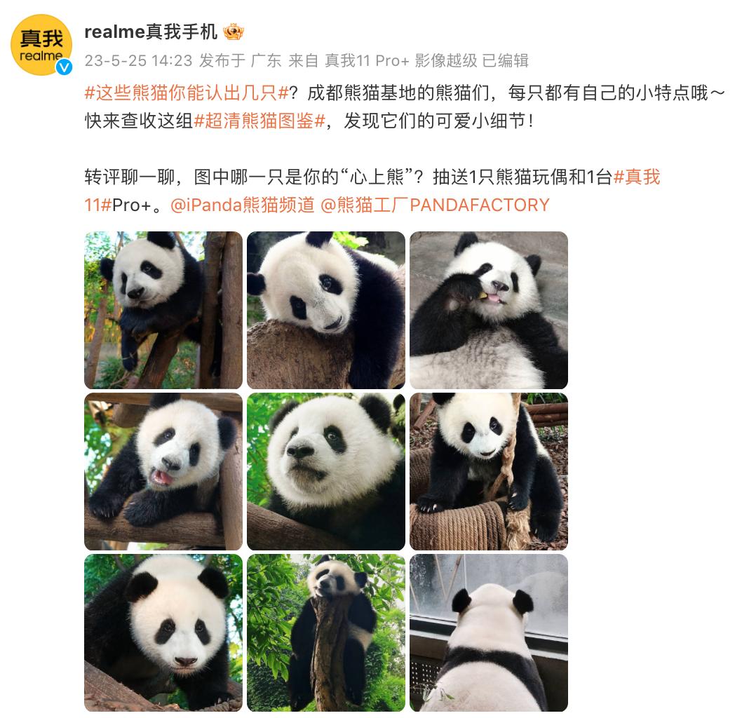 1685000007040054683.jpg 1685000007040054683.jpg