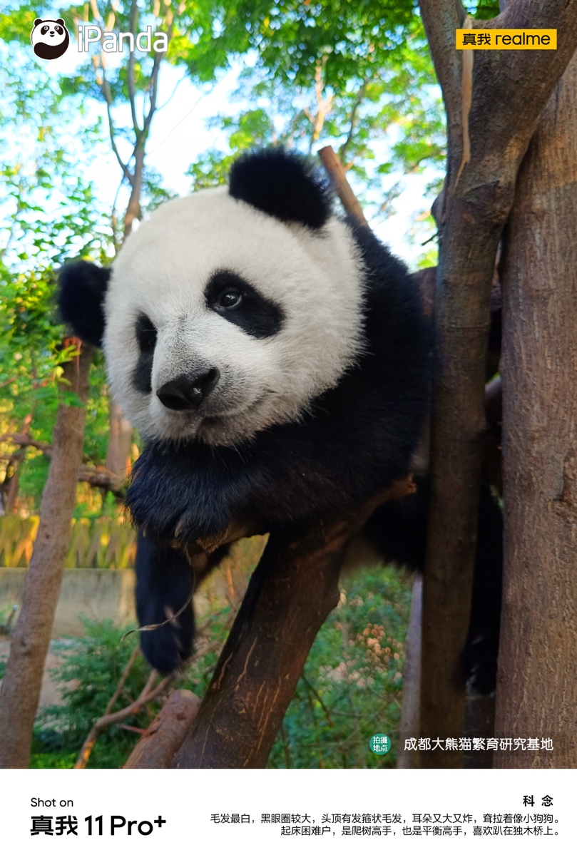 1685000018760014278.jpg 1685000018760014278.jpg