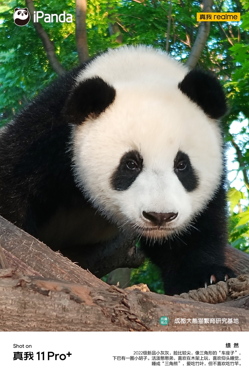 1685000033541051513.jpg 1685000033541051513.jpg