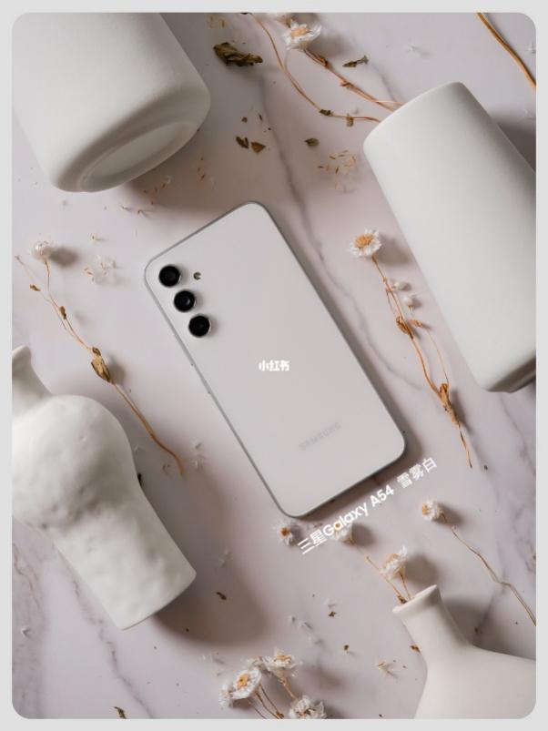 1687831462129059712.jpg 1687831462129059712.jpg