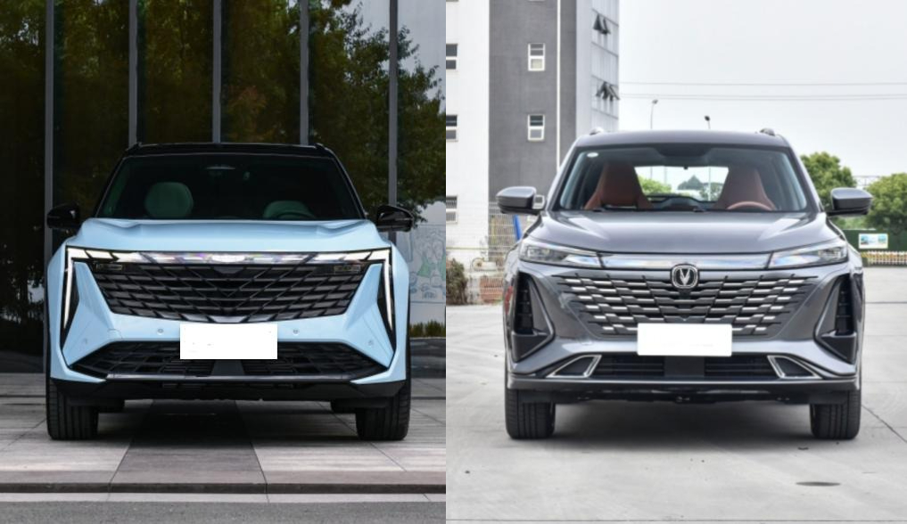 1687836975458081390.jpg 1687836975458081390.jpg