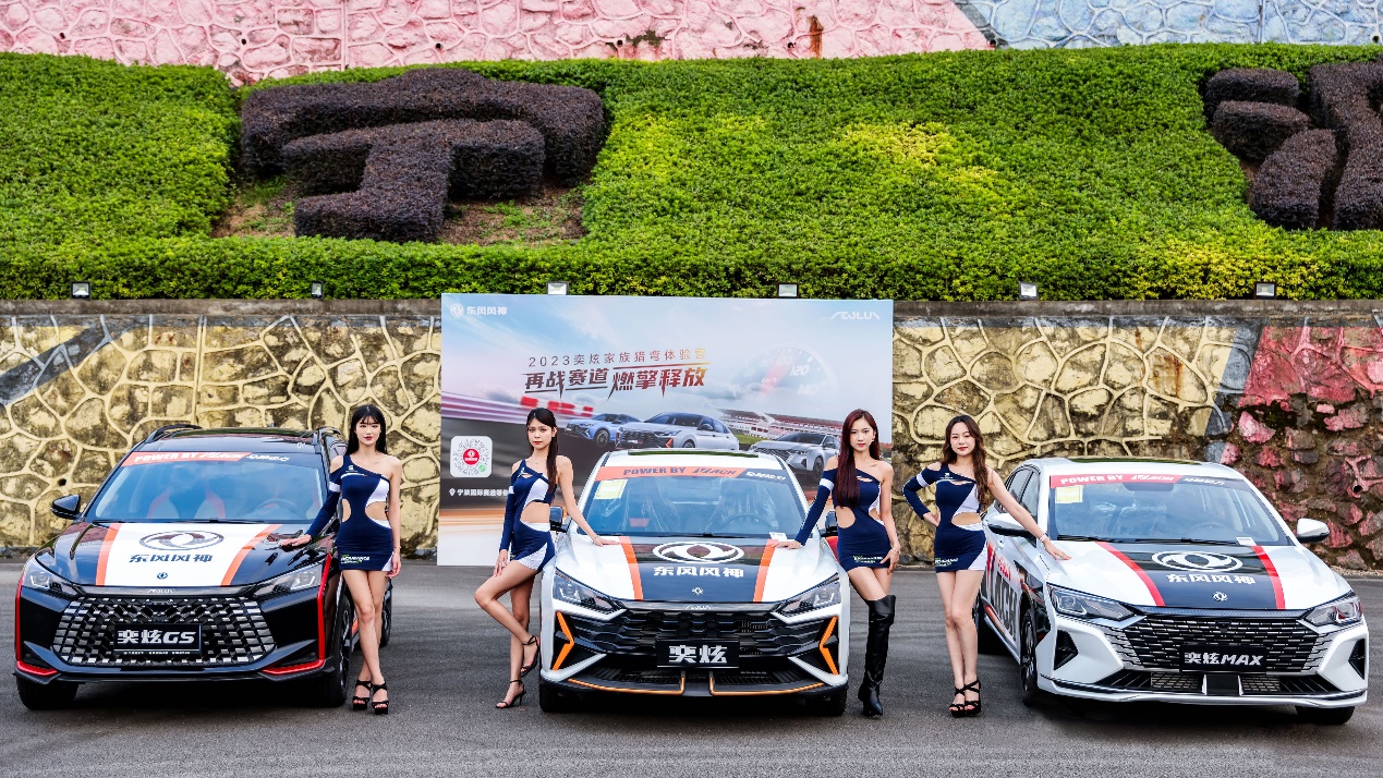 1697420234530045311.jpg 1697420234530045311.jpg