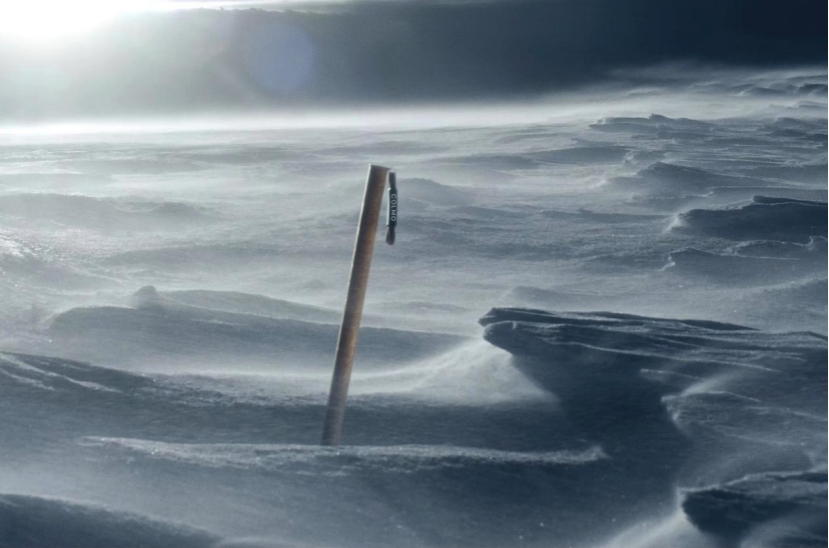 1697804517952067122.jpg 1697804517952067122.jpg