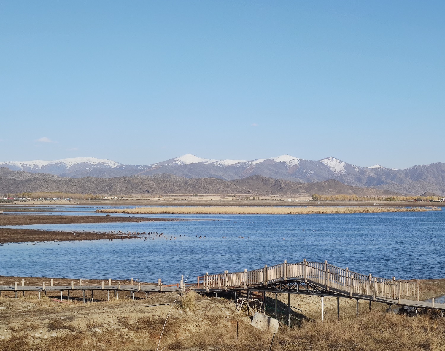 1698315399249030123.jpg 1698315399249030123.jpg