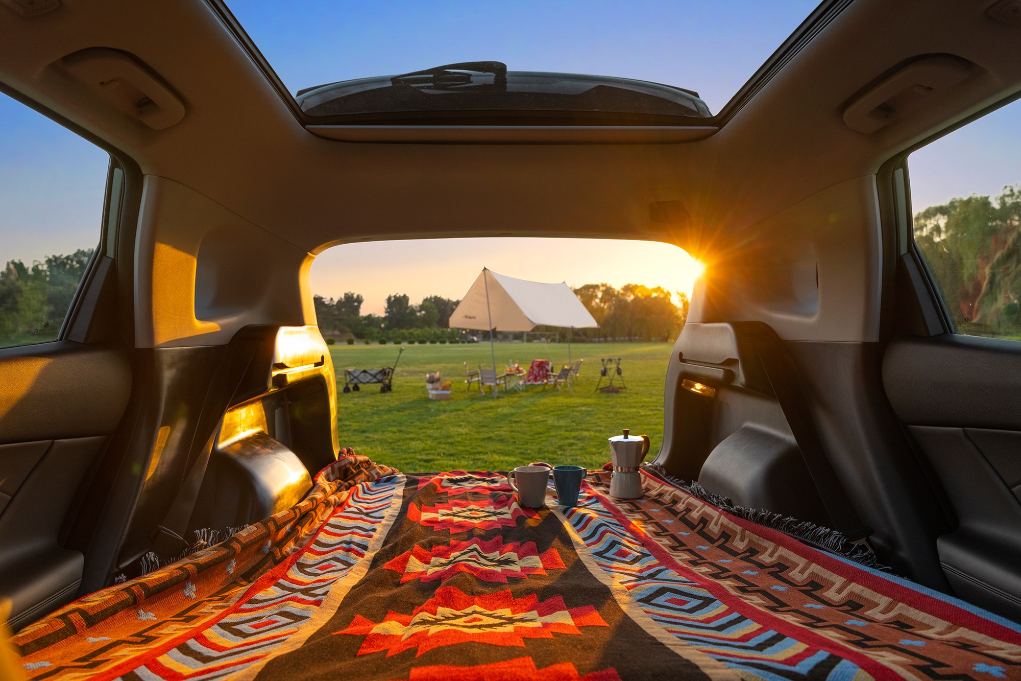 1698722020531017169.jpg 1698722020531017169.jpg