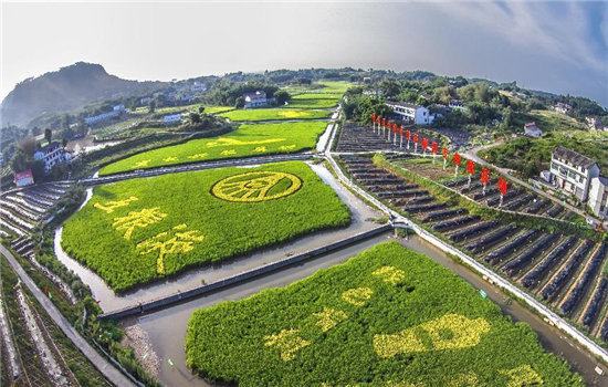 1709514679717099979.jpg 图片1.jpg