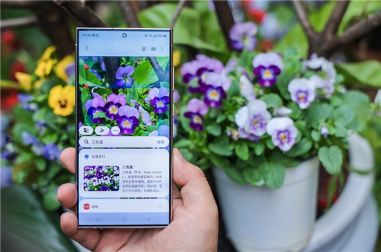 1716875962527065748.jpg 图片1.jpg