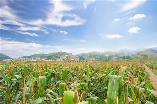 1722909389625051319.jpg 图片1.jpg