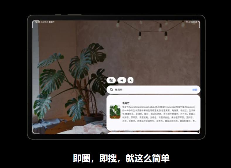 1724811102906096582.jpg 1724811102906096582.jpg