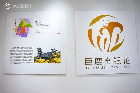 1726902925890014666.jpg DSC03406.jpg