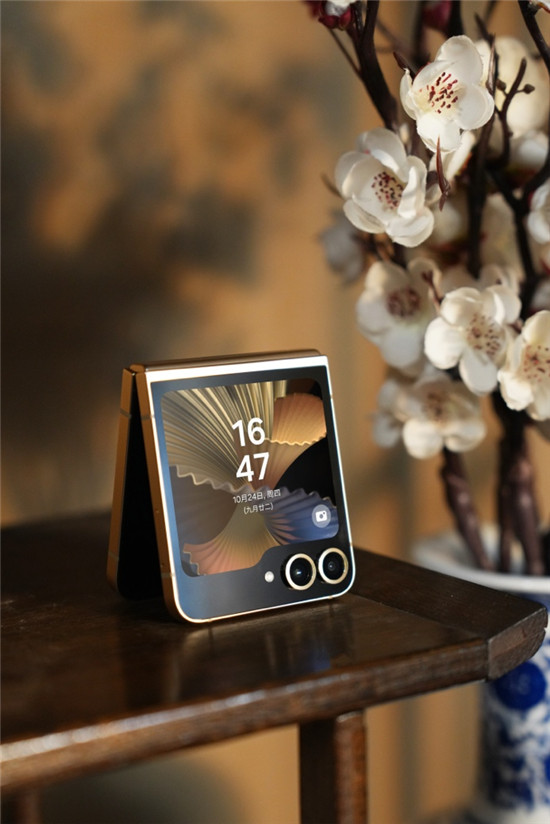 1737094052874041357.jpg 图片5.jpg