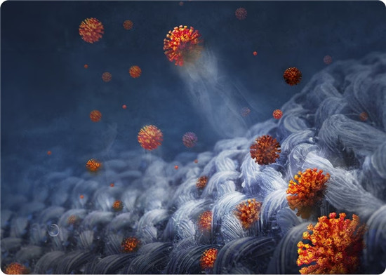 1737513298280092998.jpg 图片3.jpg