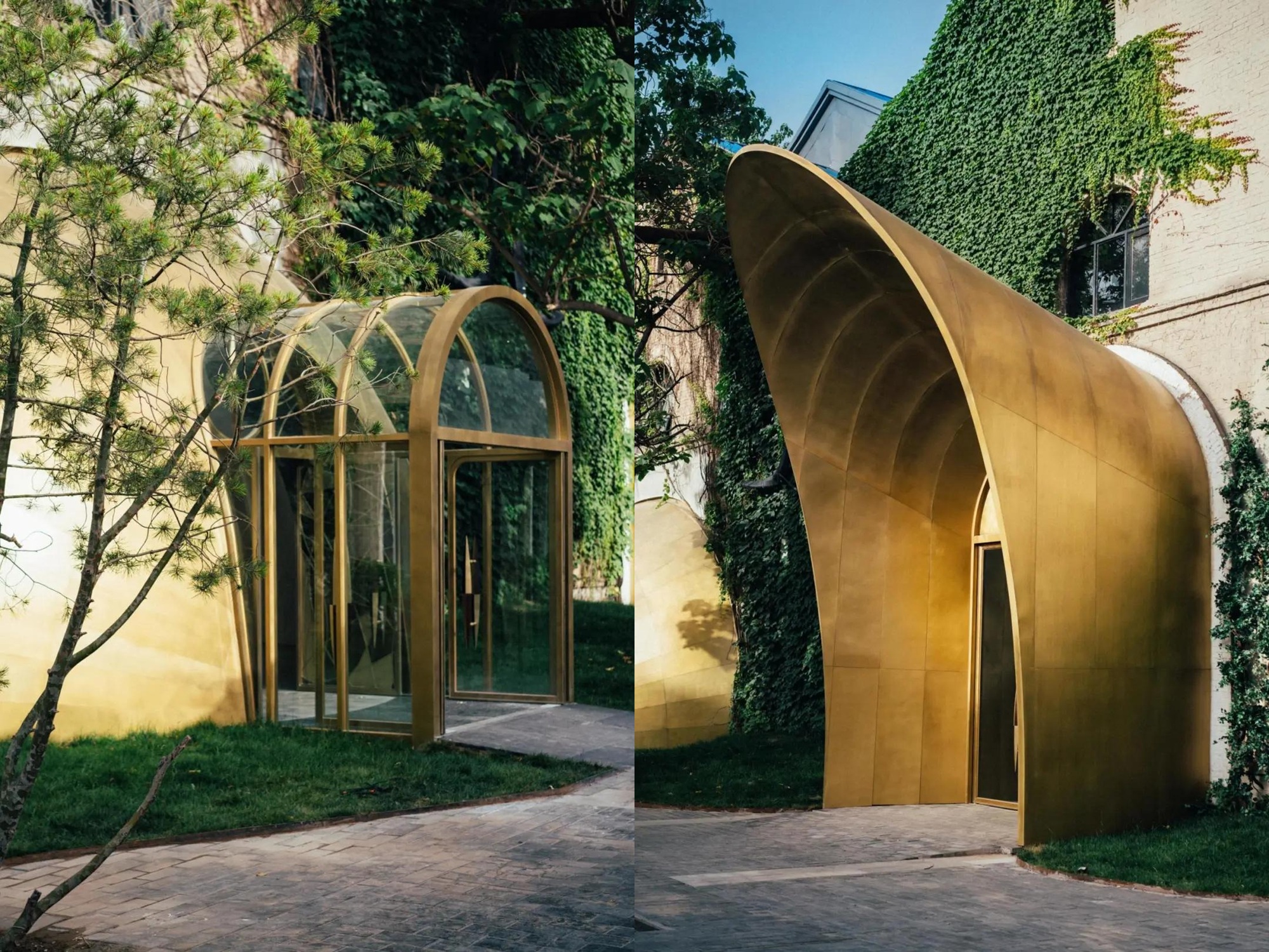 1741936212686039338.jpg 1741936212686039338.jpg