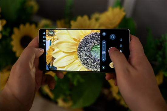 1742347060437057964.jpg 图片4.jpg