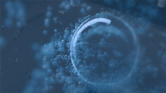 1742803523547073481.jpg 2.jpg