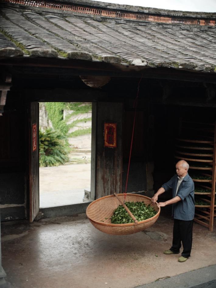 1742805018687097801.jpg 1742805018687097801.jpg