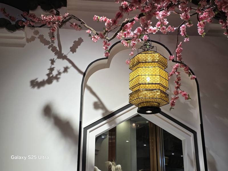 1742874873045091483.jpg 1742874873045091483.jpg