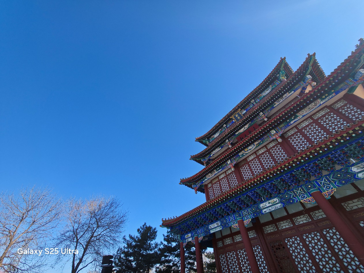 1742877873920077144.jpg 1742877873920077144.jpg