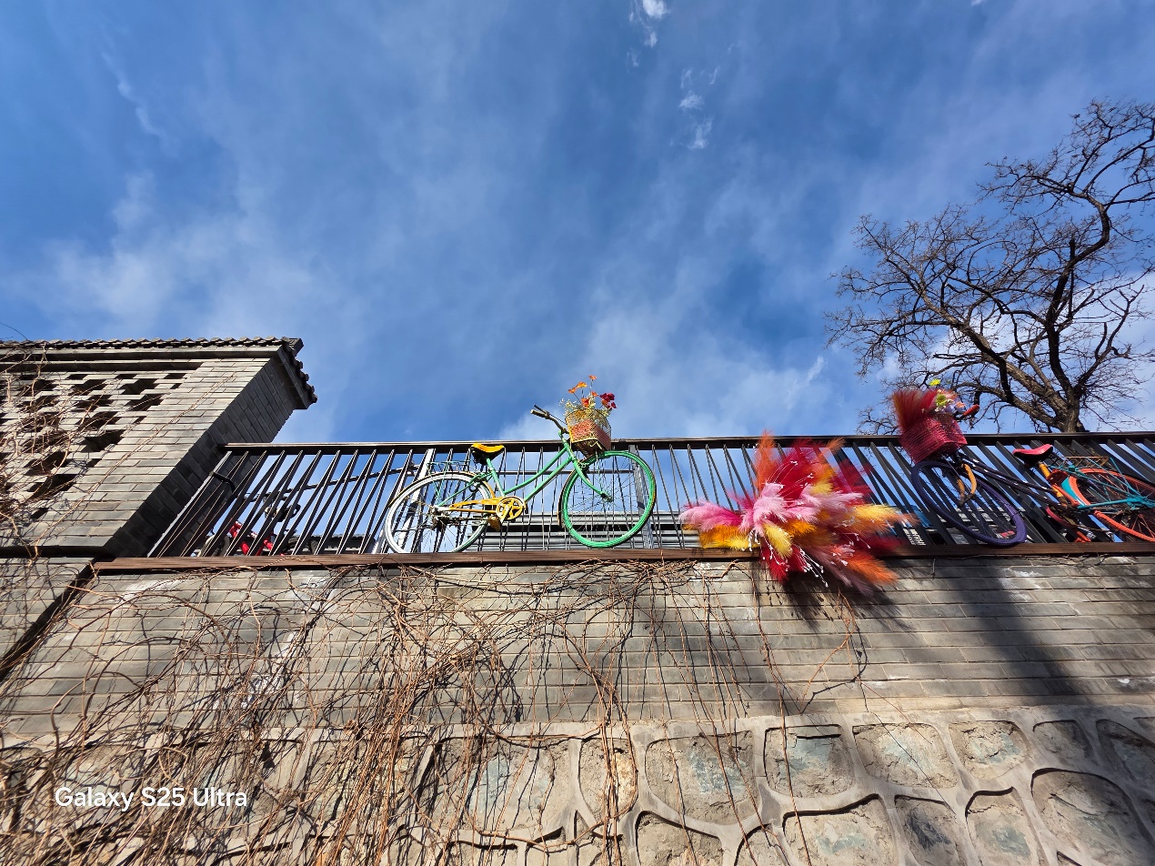 1742877911515041100.jpg 1742877911515041100.jpg