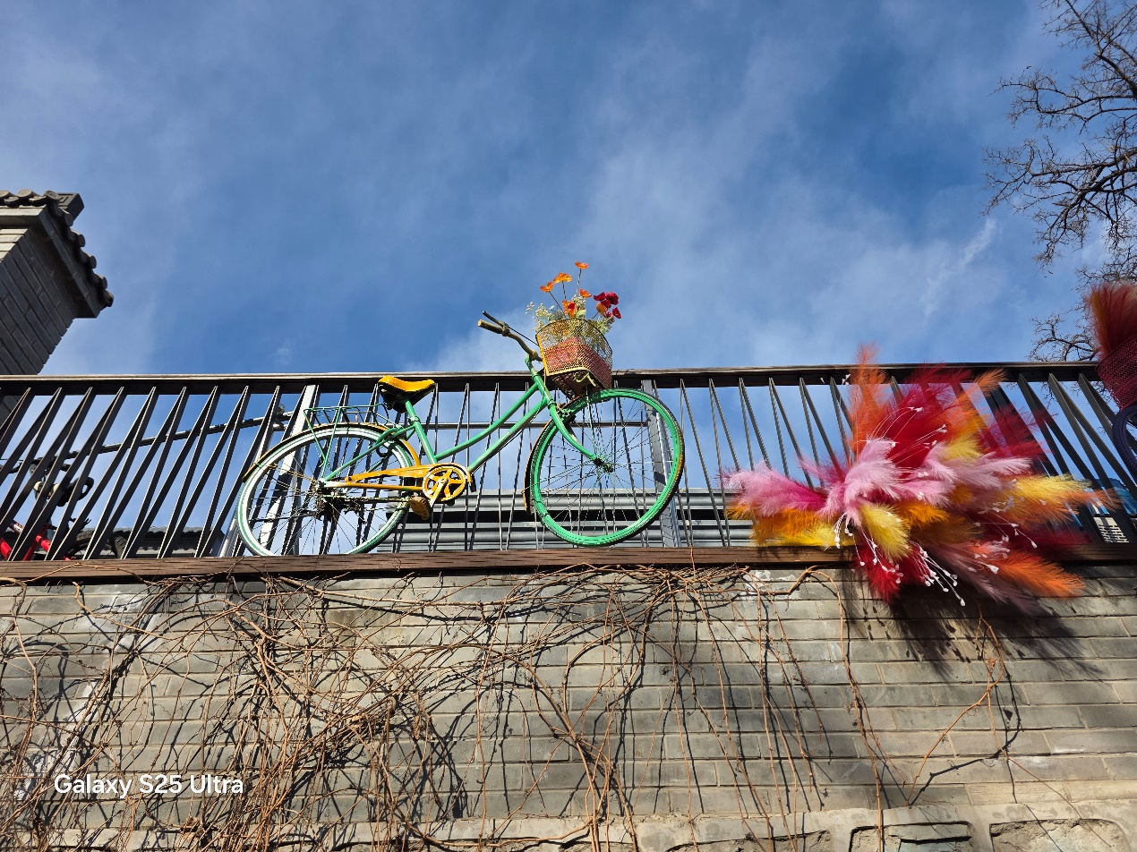 1742877937671009432.jpg 1742877937671009432.jpg