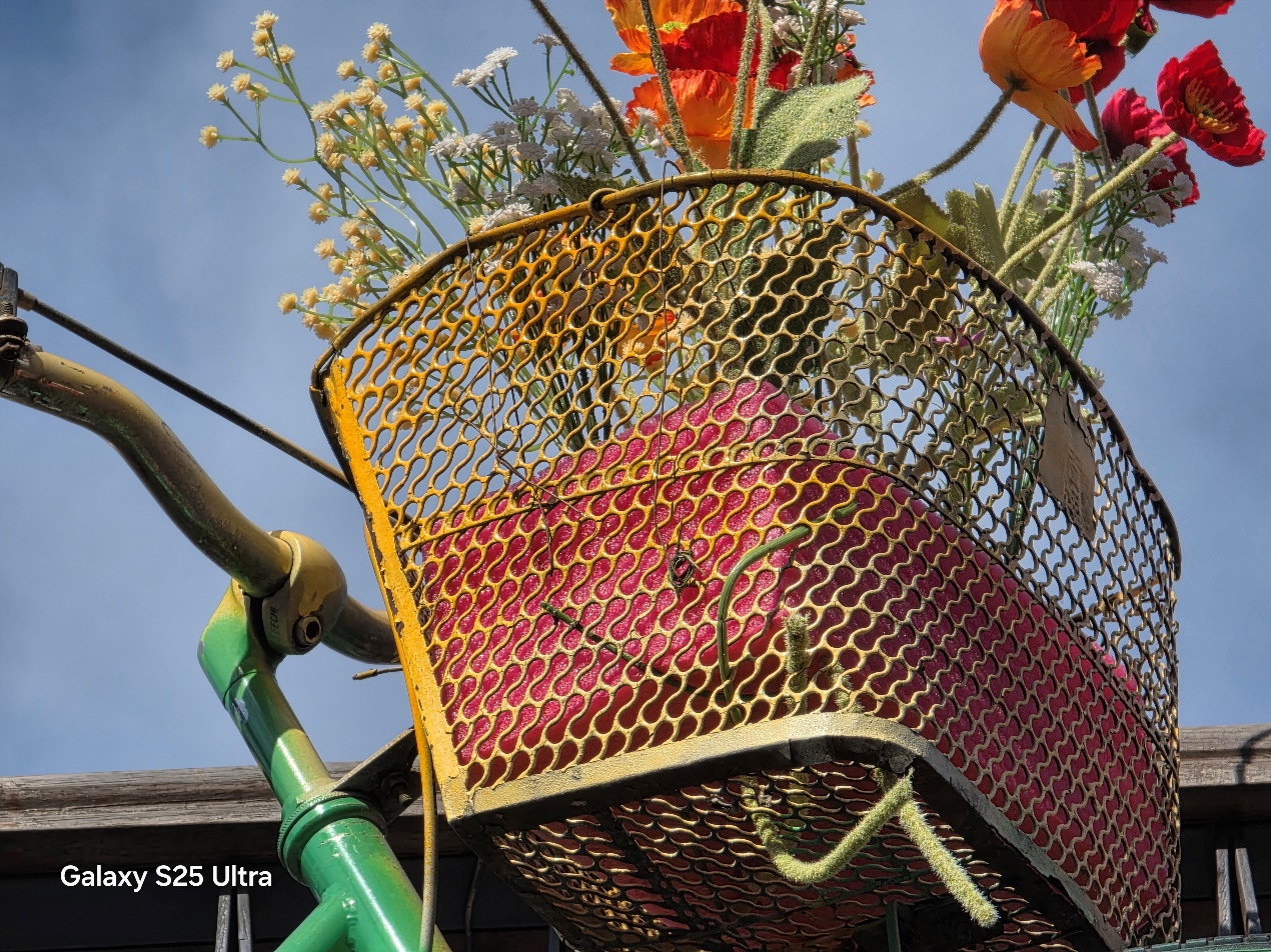 1742878004764076549.jpg 1742878004764076549.jpg