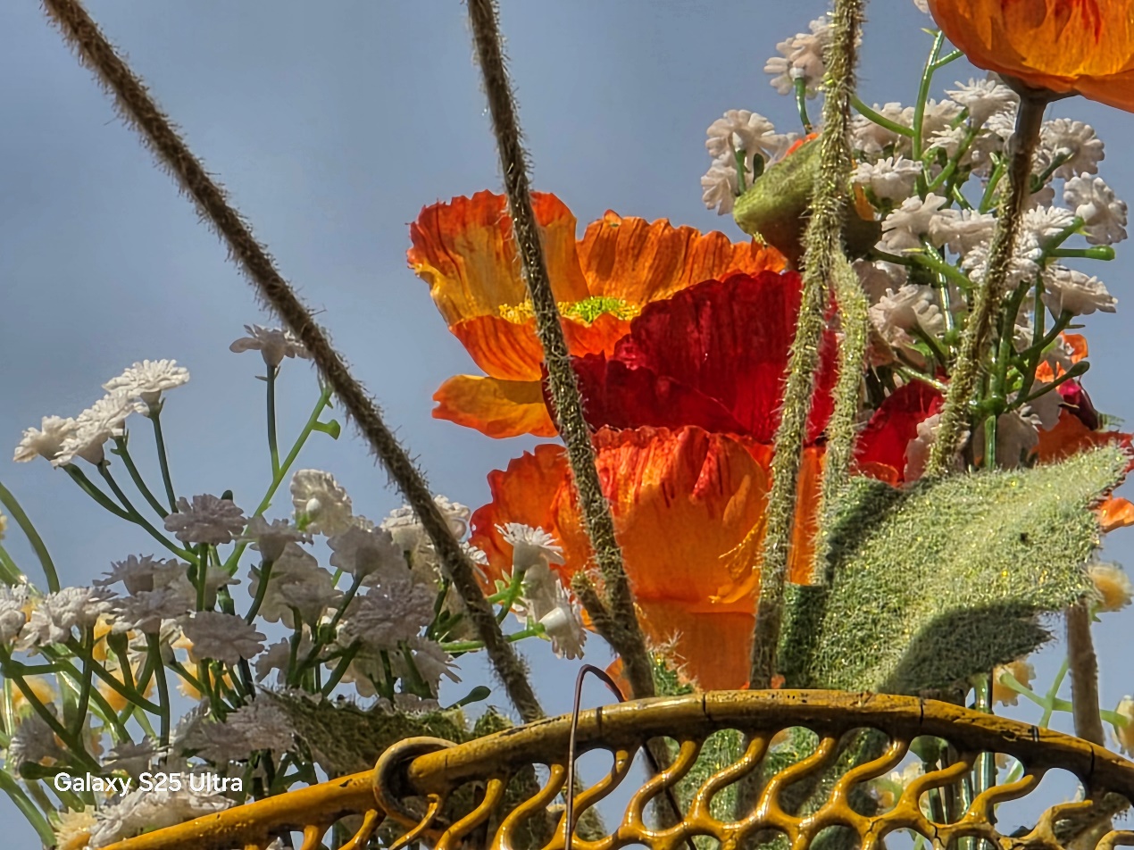 1742878049421079679.jpg 1742878049421079679.jpg