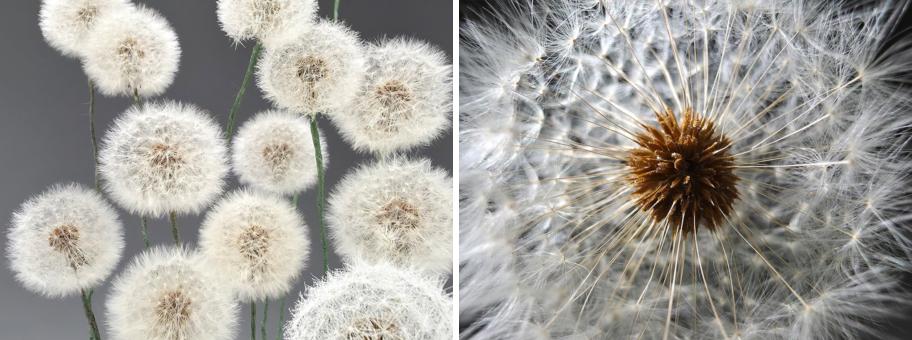 1742892455218062835.jpg 1742892455218062835.jpg