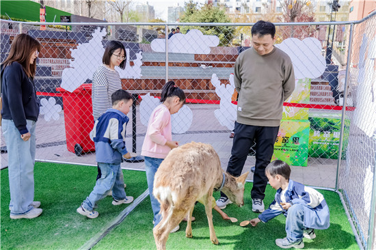 1744093950189090456.jpg 3.jpg