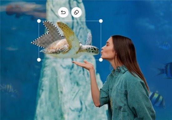 1746774867375054583.jpg 图片5.jpg