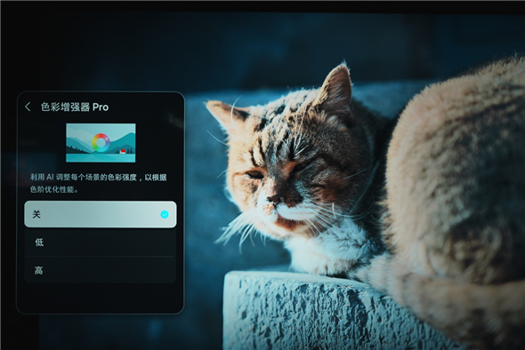 1747634543453018549.jpg 图片4.jpg