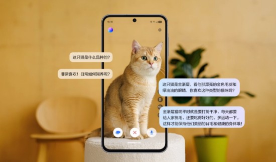 1747974533312080612.jpg 图片3.jpg