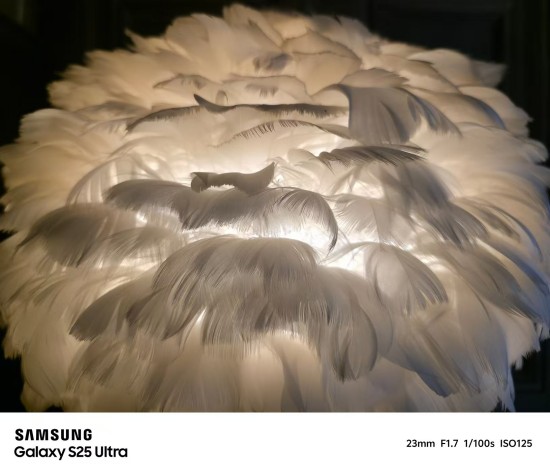 1747983923921001340.jpg 图片12.jpg