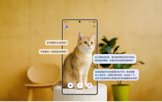 1747983937062062204.jpg 图片13.jpg