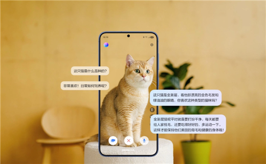 1748597561374037262.jpg 图片4.jpg