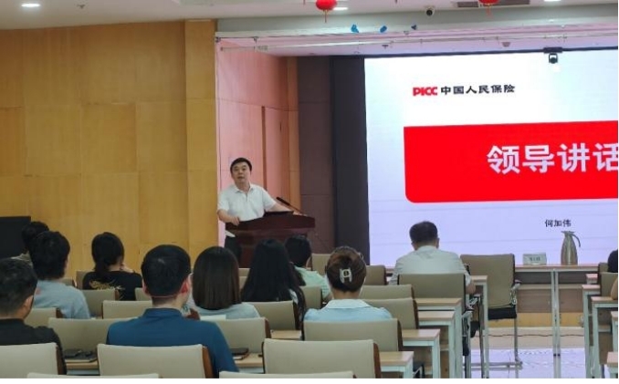 1762519237281086319.jpg 1762519237281086319.jpg