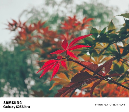 1764746976968093743.jpg 图片4.jpg