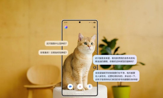 1766993071719092436.jpg 图片1.jpg